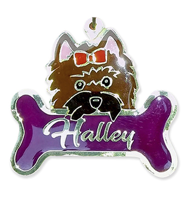 Chapa perro Yorkshire