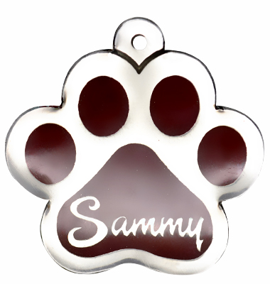Chapa perro huella nombre