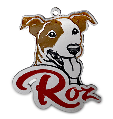 Chapa perro Jack russell